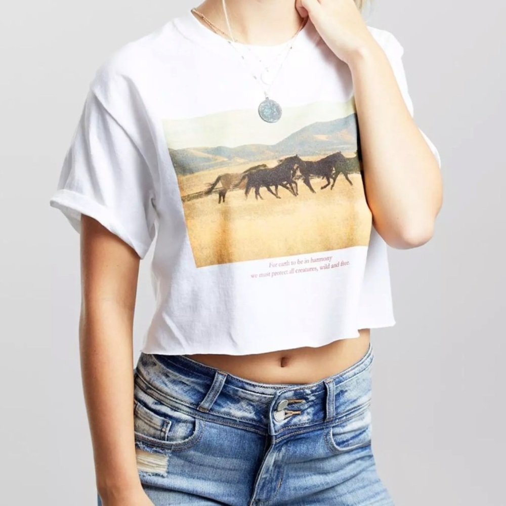 ISO desert dreamer crop top